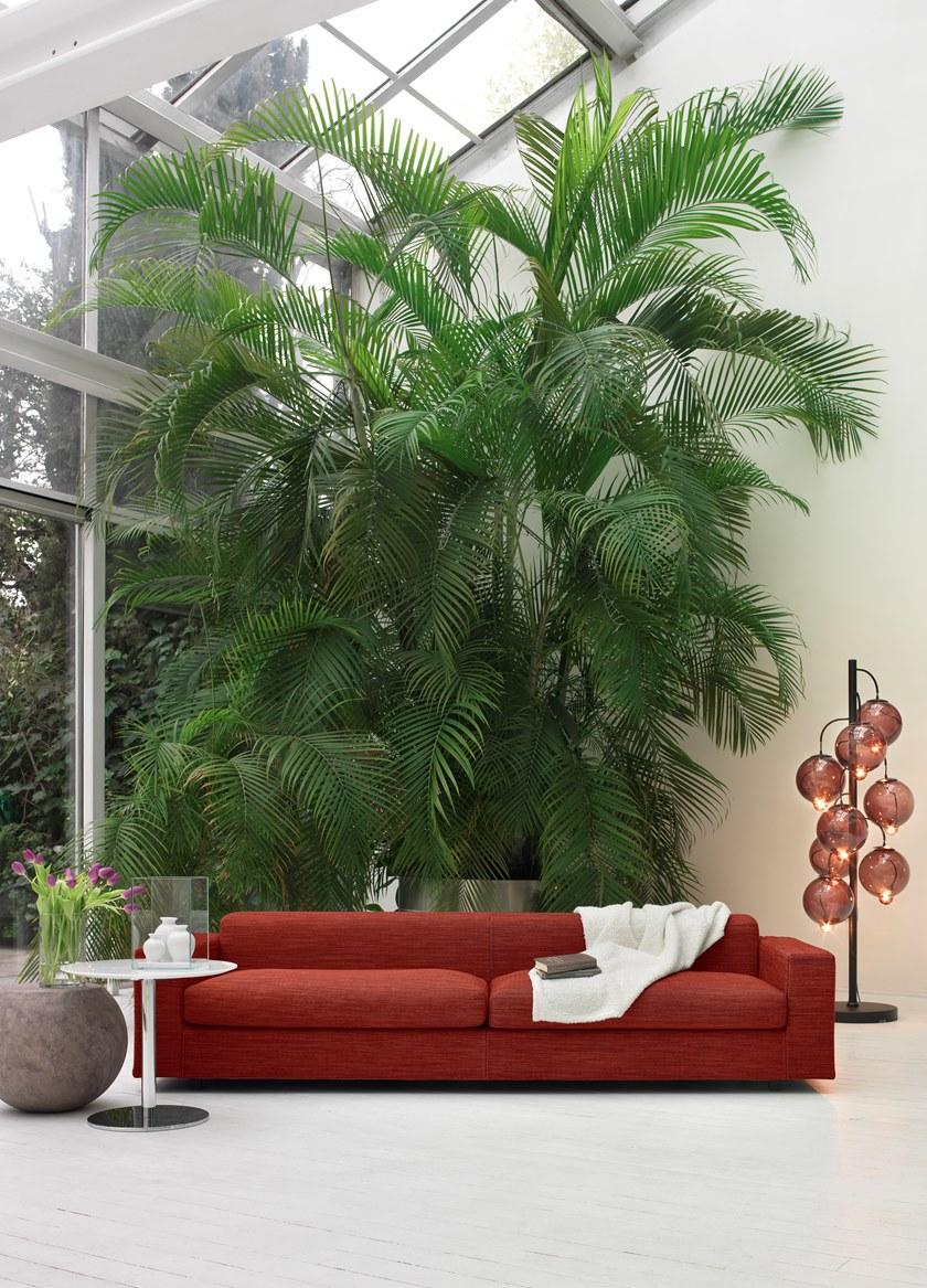 Cappellini Торшер из цветного стекла Meltdown sun-id-1379803 - Вид №4