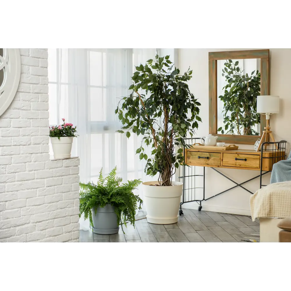 Горшок цветочный Ingreen Villa De Fiori ø36 h33 см v20 л пластик утренний туман STLM-2015194 - Вид №3