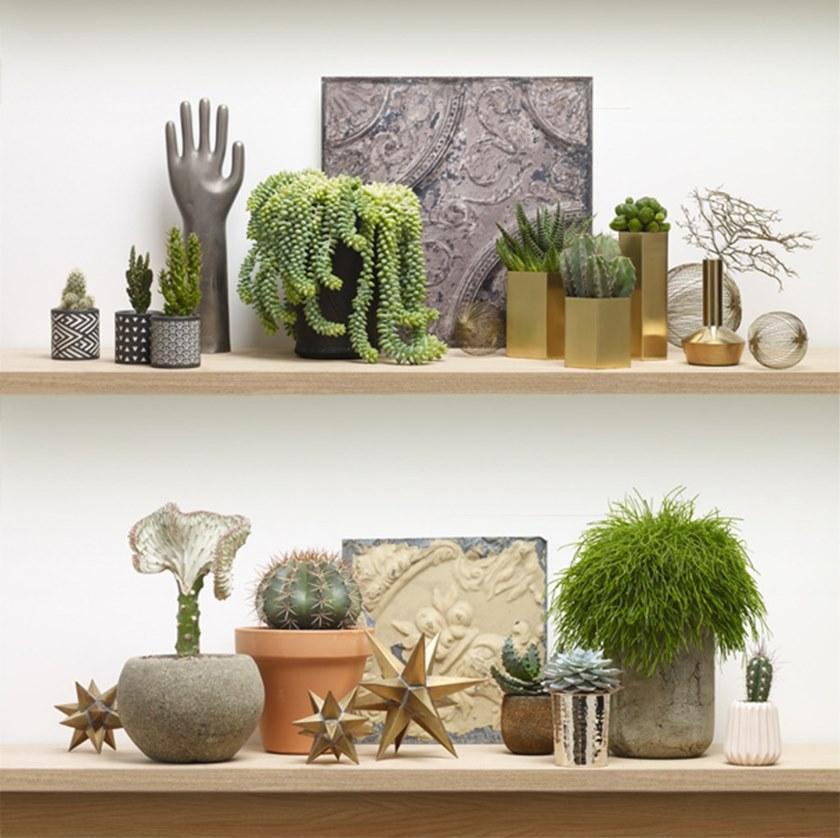 Koziel Однополосные обои sun-id-1496788 - Вид №5