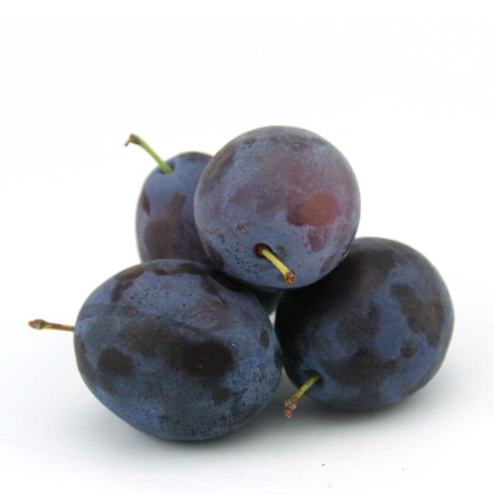 Слива Молдавия Santreyd 8626