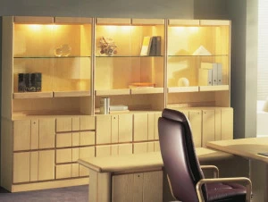 Dyrlund Офисный шкаф / офисный книжный шкаф из дерева Commodore 8900/8904/8906