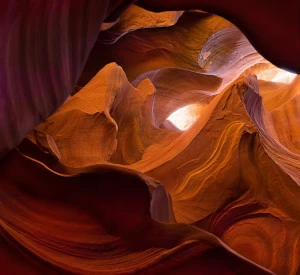 Пластификация Маска 87*80 PANKOVSKY STUDIO ПЛАСТИФИКАЦИЯ 015917 Коричневый