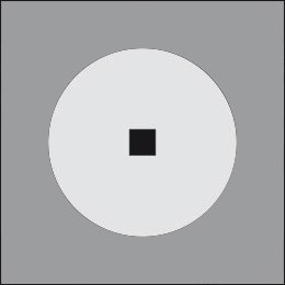 MiniTondo S Steel 500 Ghidini MiniTondo Stainless Steel .15 Нержавеющая Сталь  - Вид №2