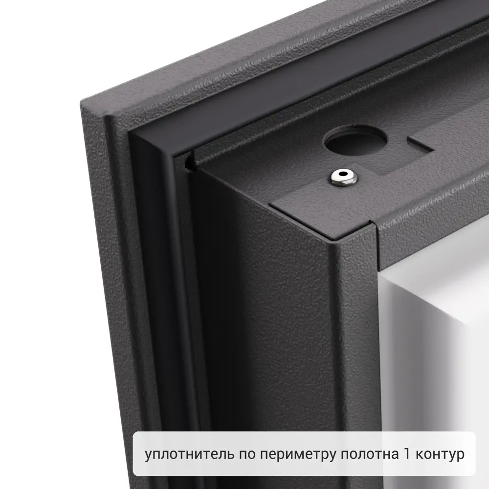 Дверь входная металлическая Термо С-2 эмаль Стелла 950 мм правая цвет белый TOREX STLM-2186190 - Вид №12