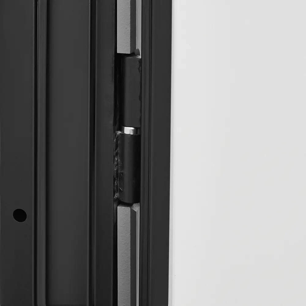 Входная дверь BELWOODDOORS Лацио 86x201 см - защита и комфорт для квартиры 85848837 STLM-1577613 - Вид №6