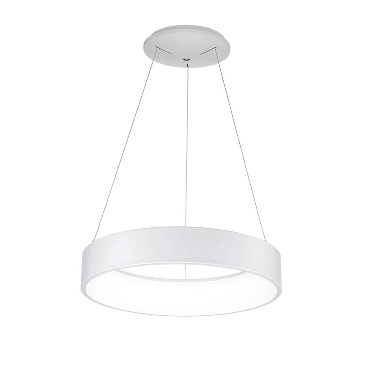 Металлический светодиодный подвесной светильник Rossini Illuminazione Шопен ARCH-00068203 - Вид №1