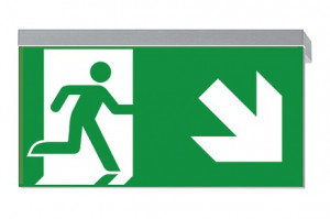 DST-1523 Ikus 320-p Daisalux Светильники сигнальные Серебристо-Серый