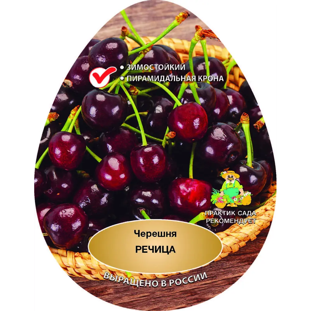 Черешня Речица сетка h200 см 87737963 STLM-2076750 Santreyd 