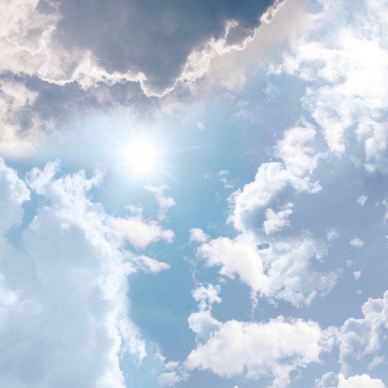 WP02024A Обои декоративные Adriani e Rossi  - Вид №1