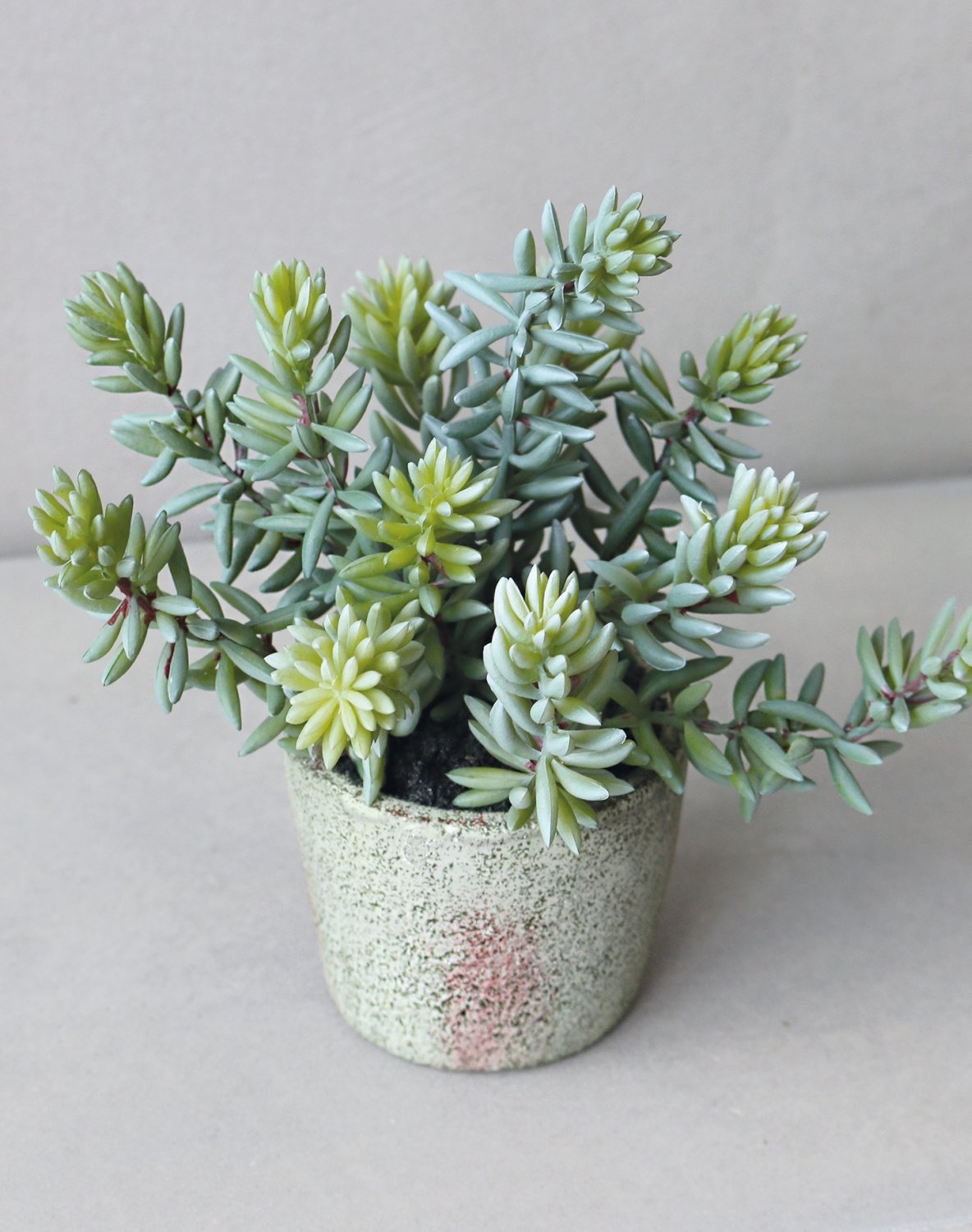 6103 883 a3 Искусственный суккулент, горшок, 19 см, зеленый H-andreas  - Вид №2