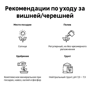 Черешня микс туба h60 см 89353020 STLM-2055024