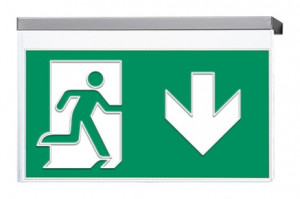 DST-2239 Vir-p Daisalux Светильники сигнальные Серебристо-Серый