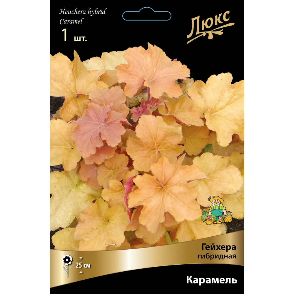 Гейхера гибридная Карамель луковица I 83599248 STLM-2125122 Santreyd 