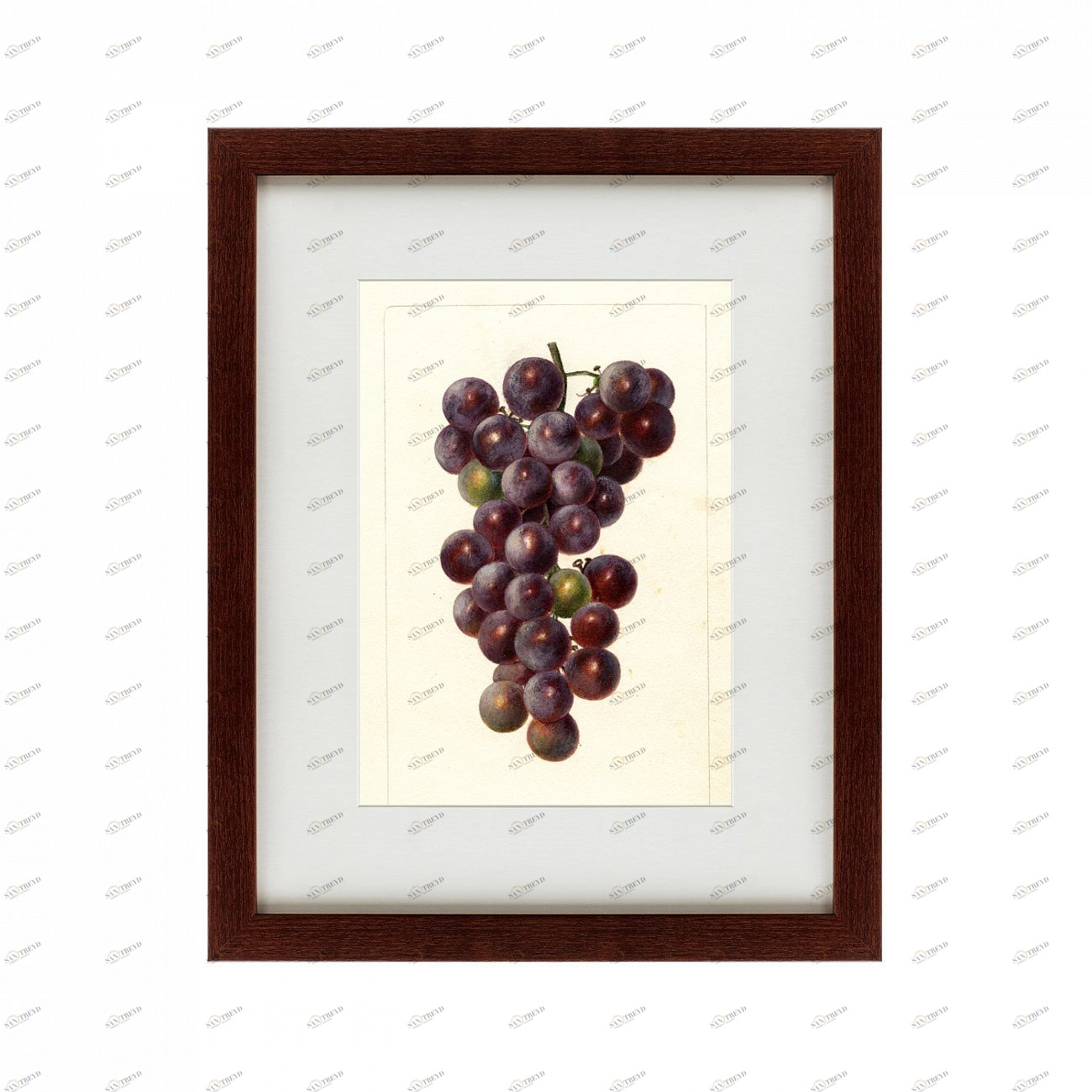 Литография на тонированной бумаге 42х52 см Watercolor collection, drawing №2, 1909 КАРТИНЫ В КВАРТИРУ  135758 Бежевый;белый;черный;разноцветный 