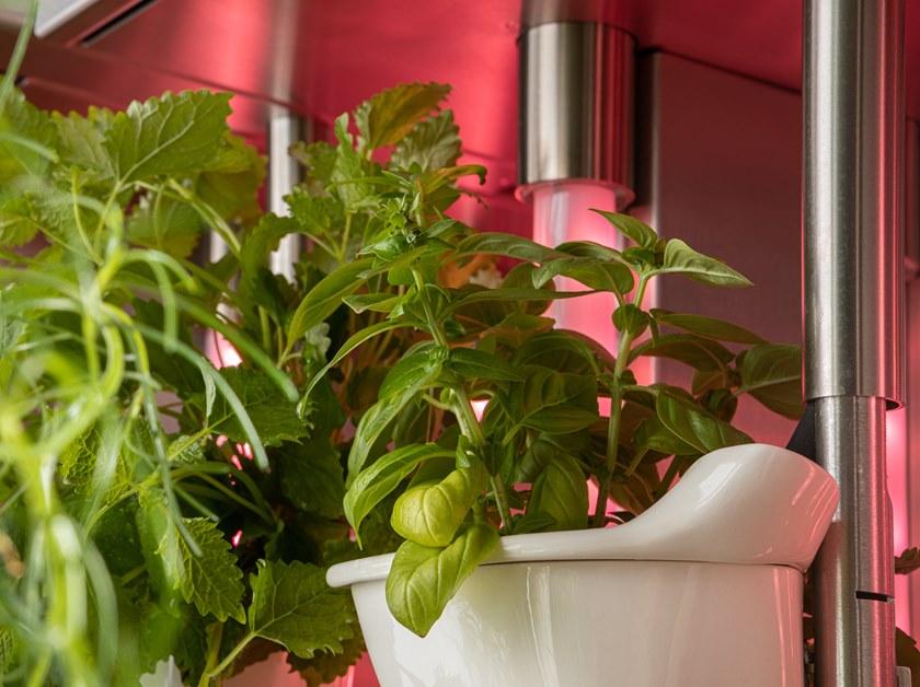 Natufia Отдельно стоящий кухонный модуль для гидропоники sun-id-1432001 - Вид №12