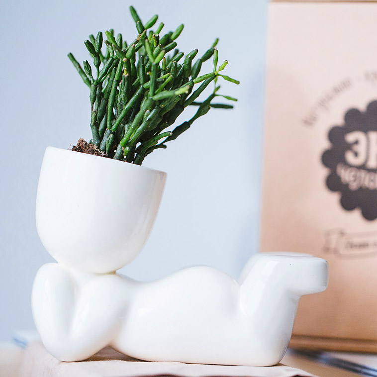 1003 Набор для выращивания eco мечтатель Экочеловеки  - Вид №3