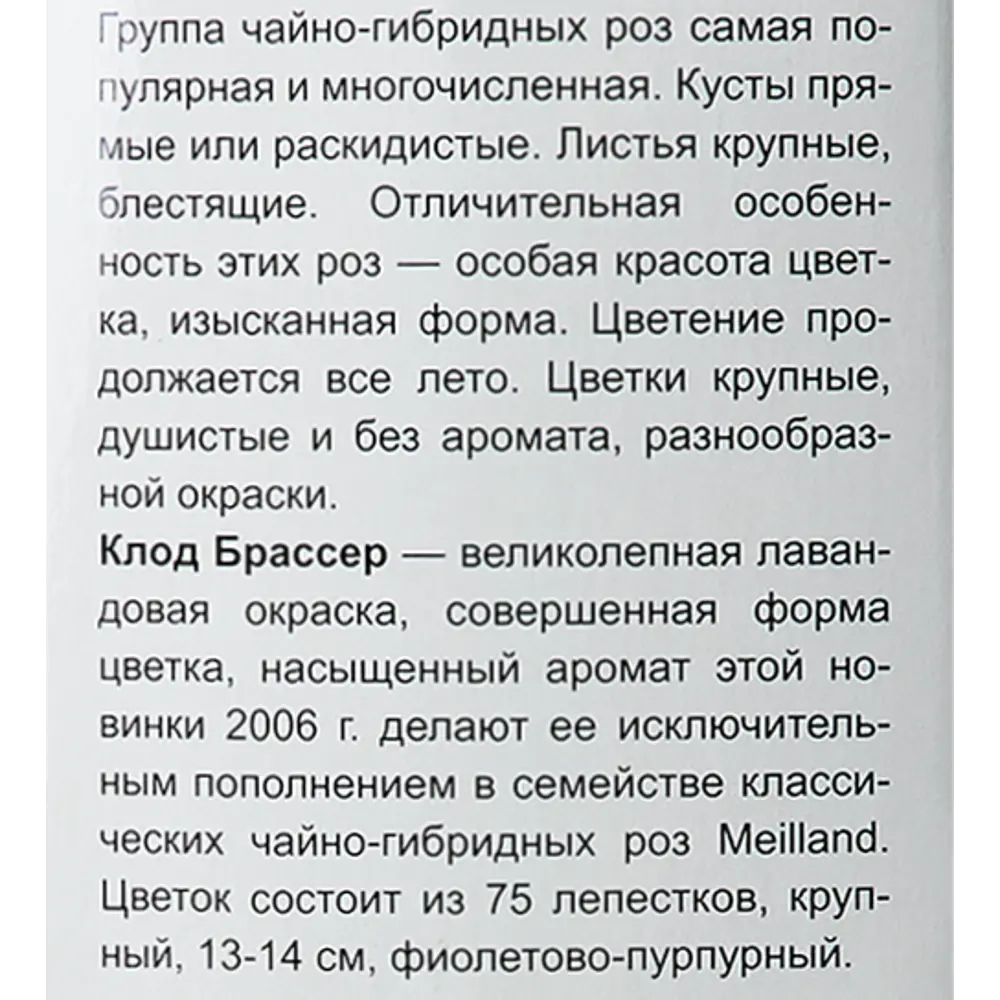 Роза Мейян чайно-гибридная «Клод Брассер» 82150698 STLM-2016076 Santreyd  - Вид №3