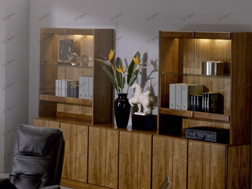 Dyrlund Офисный книжный шкаф из дерева и стекла Commodore 8907 