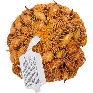 83275842 Лук-севок «Румба» 10/21, 0.35 кг