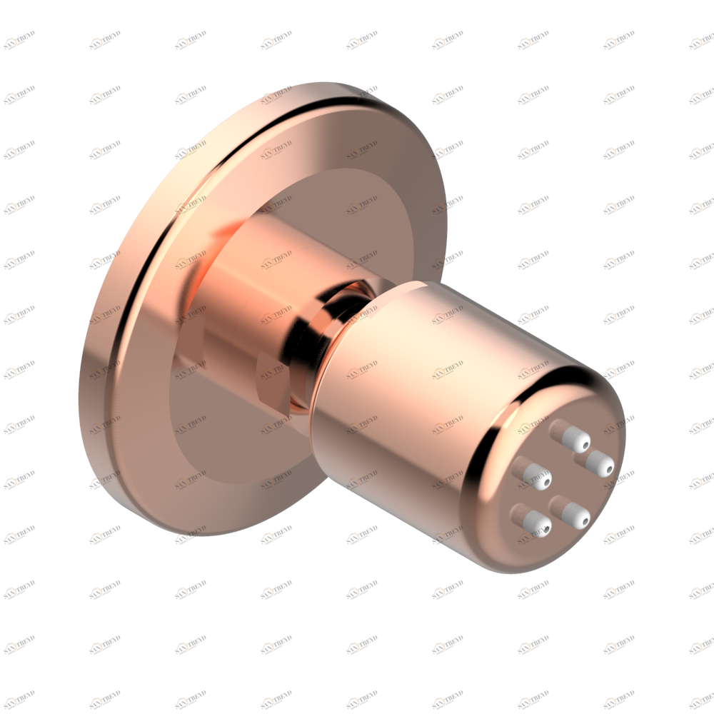 G9A-290/B Форсунка гидромассажная встраиваемая в стену 1/2" с защитой от жёсткой воды Thg-paris System métal lisse Розовое золото G9A 290/B CAT.F