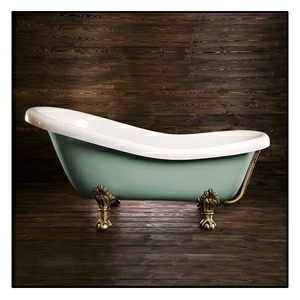 Ванна Akcjum Rectime 160 WR-03-05-Br-A овальная салатовая с золотыми ножками