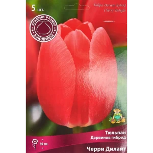Тюльпан Дарвинов гибрид Черри Дилайт, 5 шт 85205602 STLM-2017858