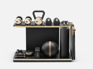 Оборудование для фитнеса из нержавеющей стали и дерева