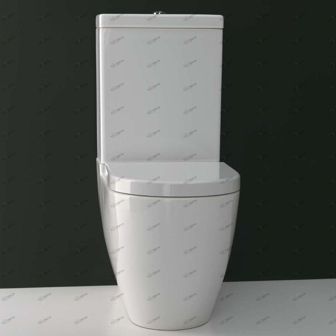 42000 Компакт унитаз с бачком Белый  Evolution Италия Santreyd