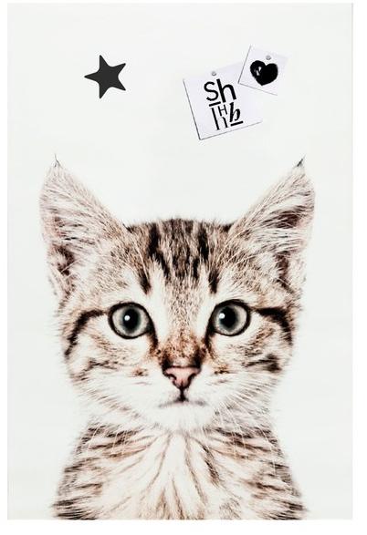 Groovy Magnets Магнитный плакат Animal Pos-62-c - Вид №1