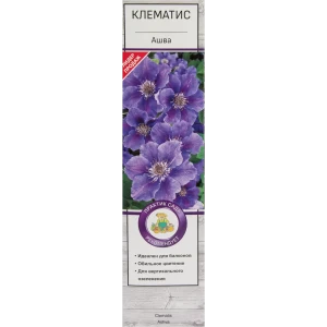 Клематис Ашва в тубе Поиск Инвест 81951241 STLM-2205834