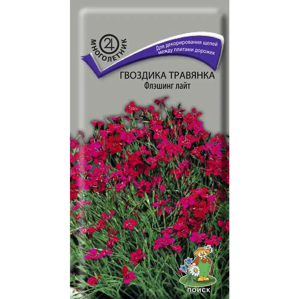 Гвоздика травянка Флэшинг Лайт от ПОИСК - фиолетовый ковер для сада 89401257 STLM-1568291