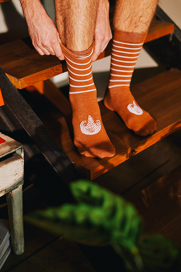 DYLATSOCA Носки latte caffe Doiy  - Вид №1