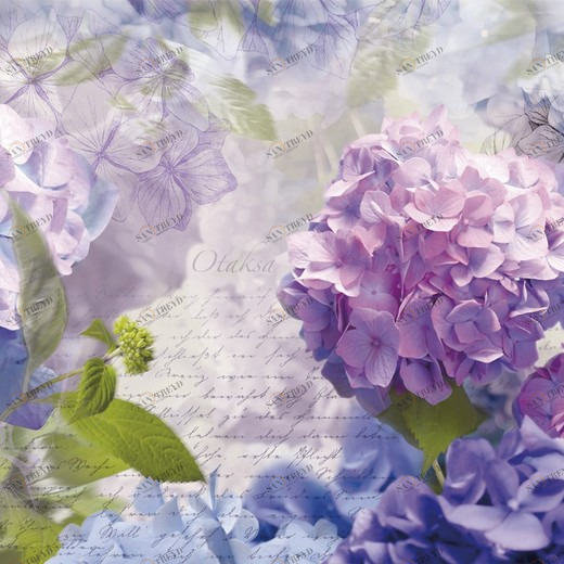 8-705-Otaksa Фотообои Komar Imagine Edition 2 254х368 м 8705OTAKSA