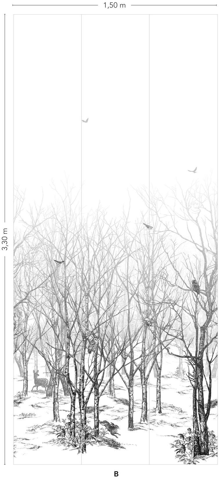 Isidore Leroy Панорамные обои на флизелине с пейзажами Naturels 6241604 - Вид №5