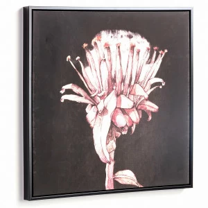 Картина на холсте 60х60 см черная Natures от La Forma LA FORMA NATURES 343086 Розовый;черный