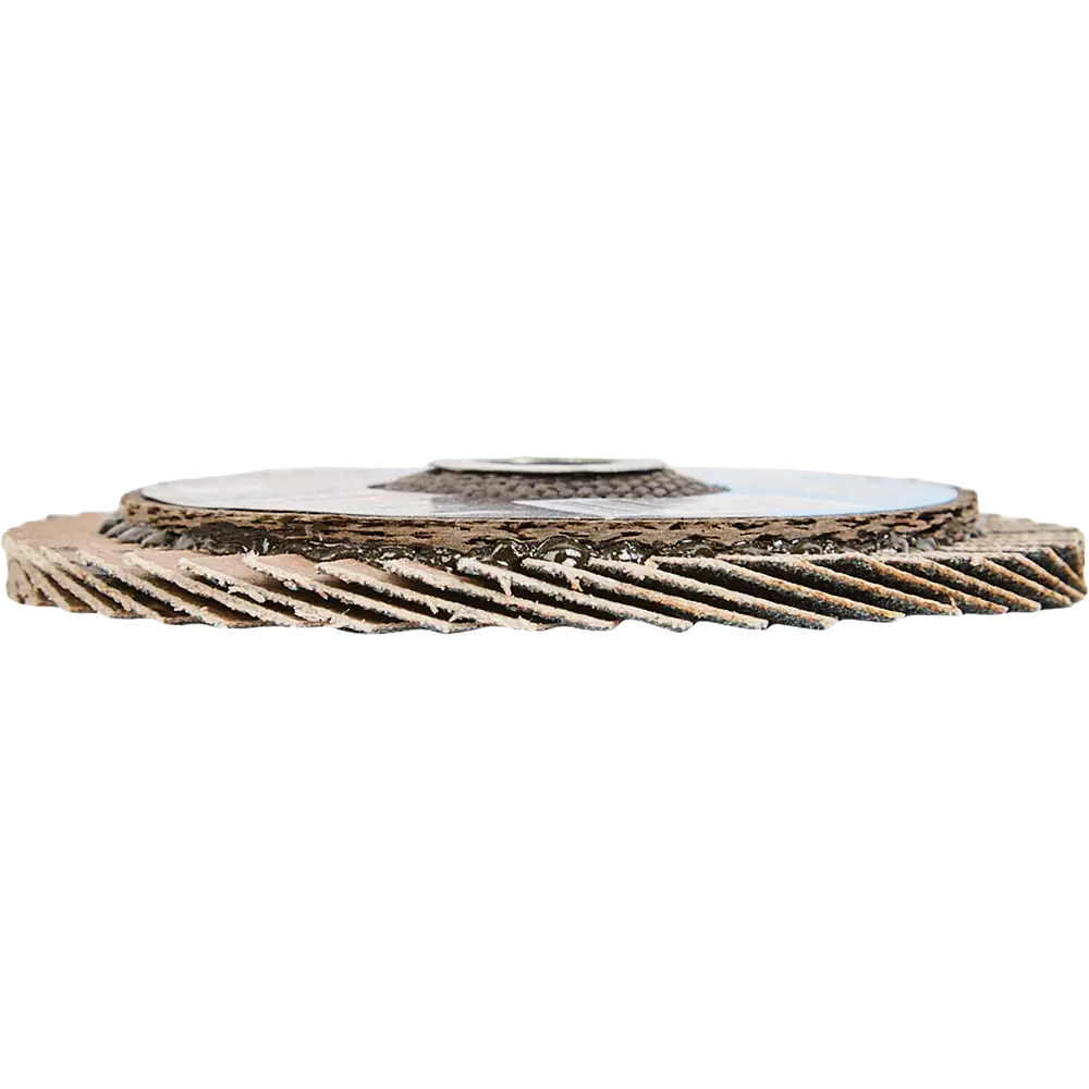 Круг лепестковый торцевой КЛТ1 Metabo Flexiamant 626876000 Р80 76x10 мм 83076827 STLM-2127354  - Вид №1