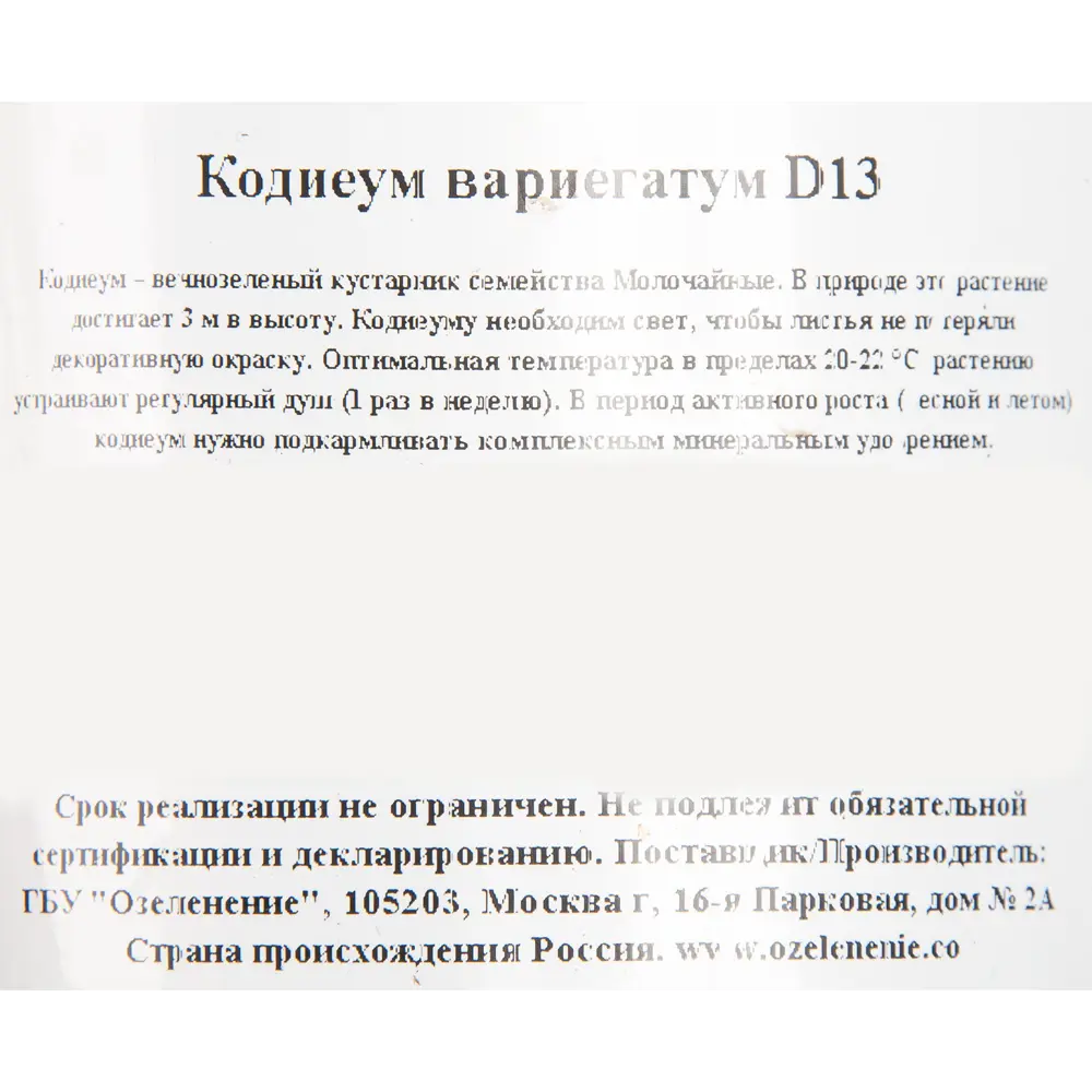 Santreyd Кодиеум - тропическое украшение интерьера 82560394 STLM-0029933 - Вид №2