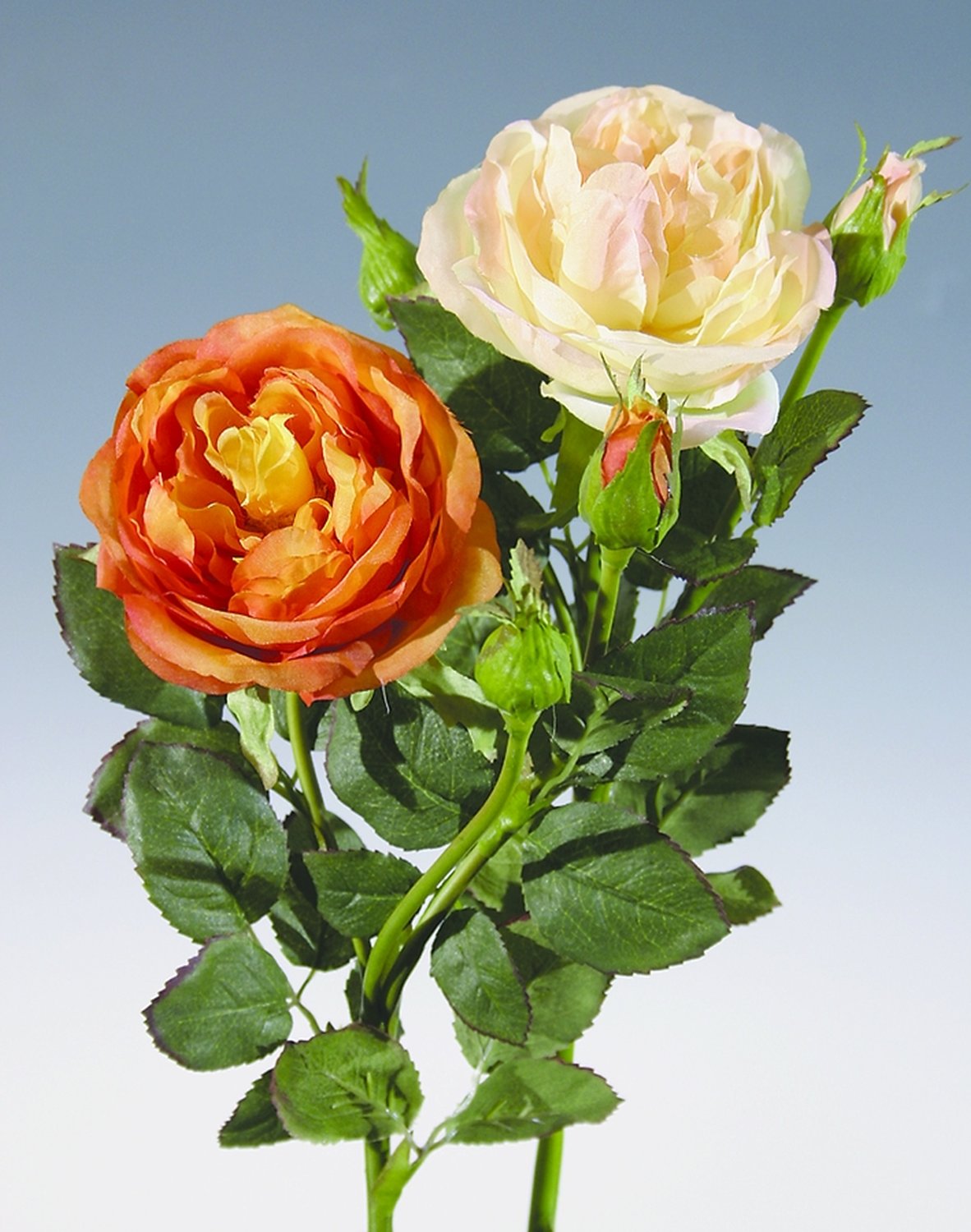 3255 553 a2 Ложная роза, 1 цветок, 2 бутона, 30 см, абрикос H-andreas  - Вид №1