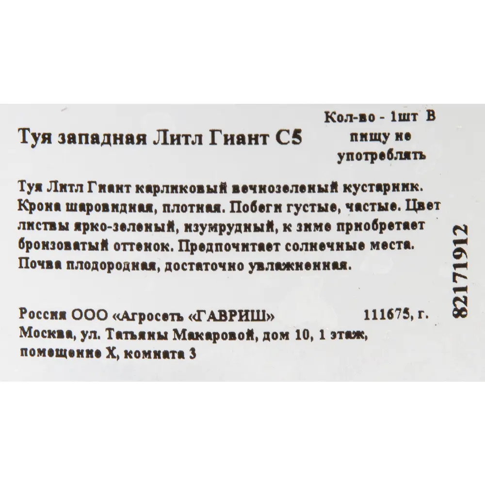 Туя западная «Литл Гиант» C7.5 82171912 STLM-2201745 ГАВРИШ  - Вид №1