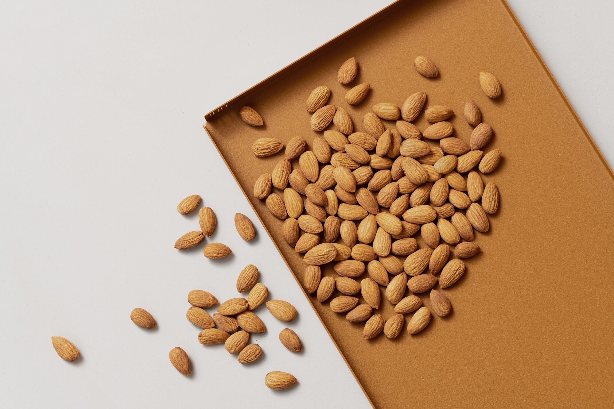 ARCH-00096311 Лоток для хранения яиц +kouple TOM TRAY - Вид №1