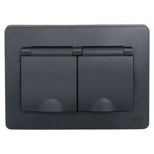 Розетка двойная встраиваемая Systeme Electric Blanca с заземлением IP44 цвет антрацит