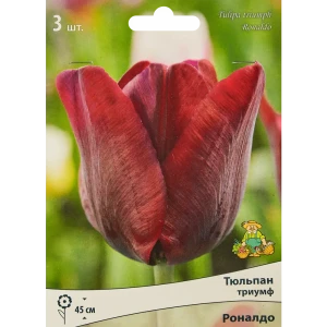 Тюльпан Триумф Роналдо, 3 шт 85205528 STLM-2190651