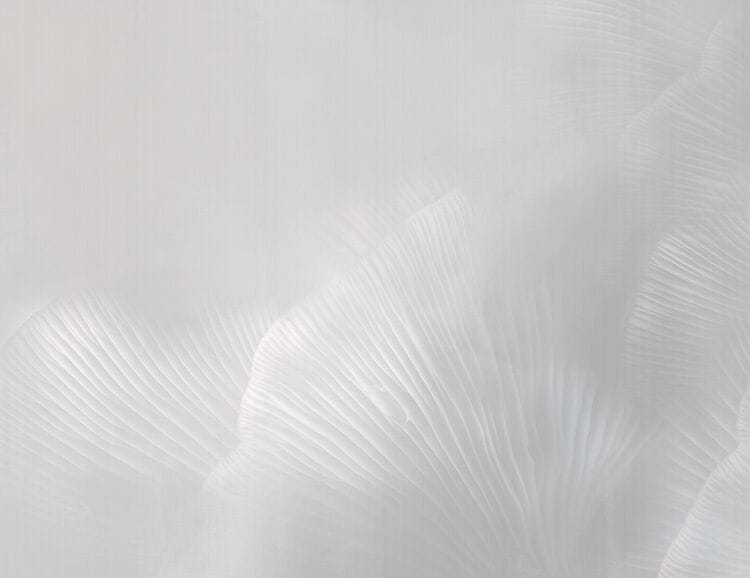 Нетканые обои Tecnografica Natural Shapes ARCH-00044355 - Вид №1