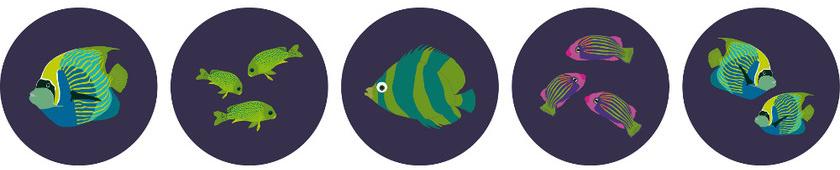 CONCEPTUWALL Декор из клейкой ткани Nautilus sun-id-1488444 - Вид №2