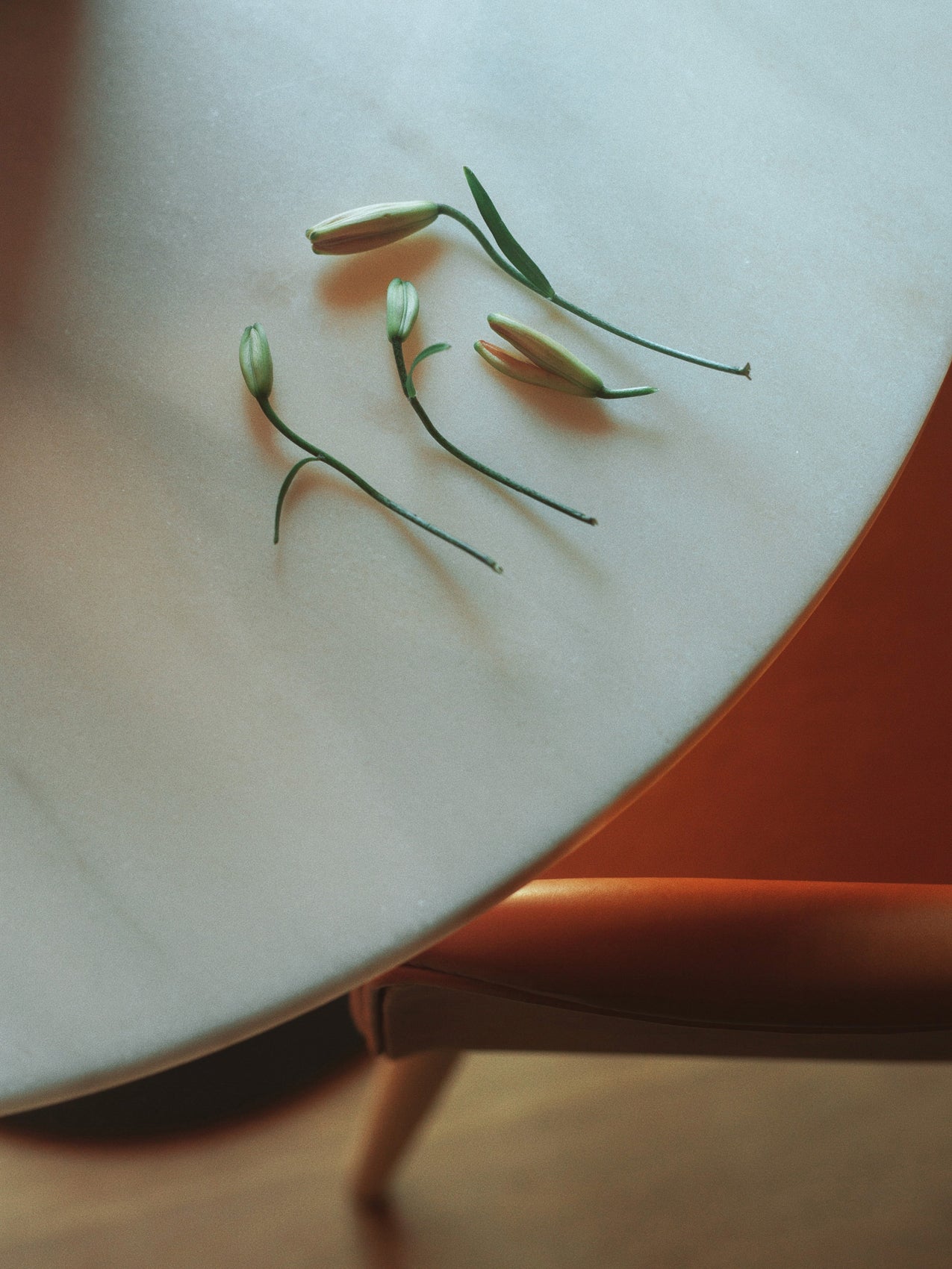 5709262042074 Стол колонны гавани, Круглый стол LuceLight  - Вид №23