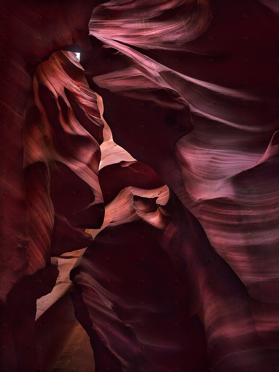 Фотокартина 45х60 см "Затмение" PANKOVSKY STUDIO ПЛАСТИФИКАЦИЯ 015901 Коричневый;фиолетовый 