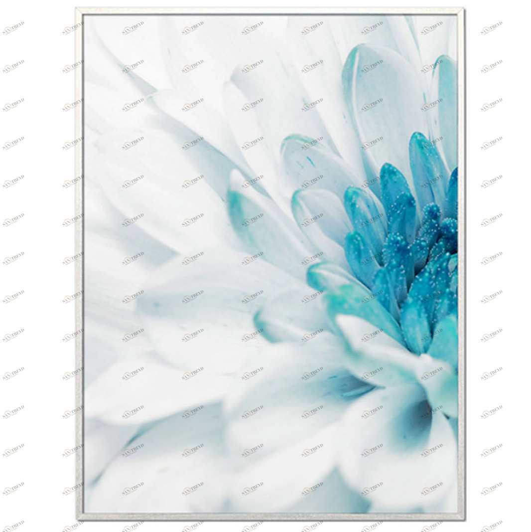 Постер прямоугольный на художественной бумаге 80х60 см "Красивая хризантема-1" EVENHOME ДИЗАЙНЕРСКИЕ 00-3878786 Белый;голубой 
