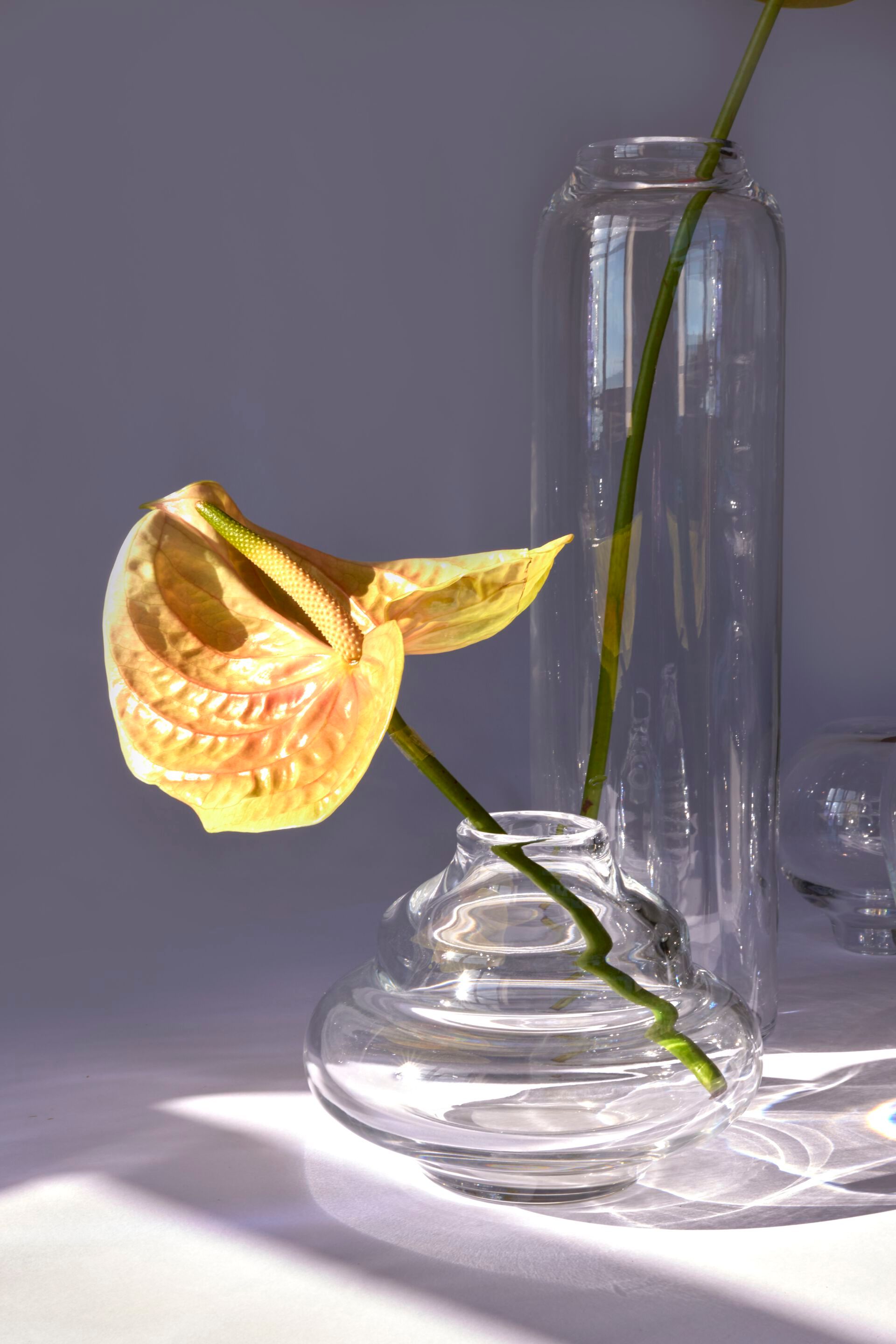 Ваза из дутого стекла Studio Bojola BOSA ARCH-00009831 - Вид №2