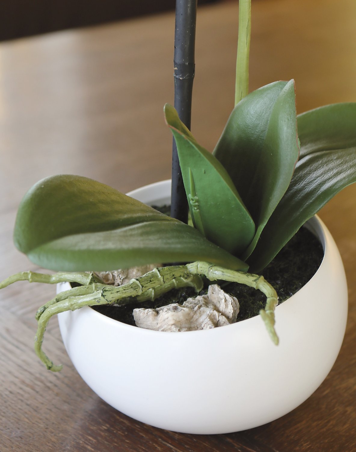 2762 778 a3 Пластиковая орхидея Phalaenopsis, горшечная, 45 см, real touch soft, бежево-белая H-andreas  - Вид №1