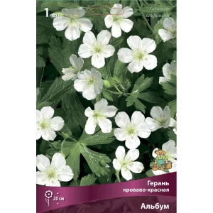 Герань кроваво-красная Альбум